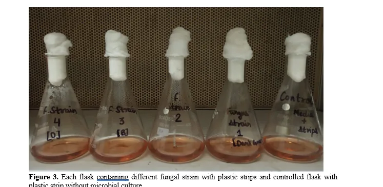 Biodegradation of Plastic Waste Using Various Fungal Isolates from Plastic-Polluted Sites in Meerut: Analysis of Polymers and Composites 5 figures