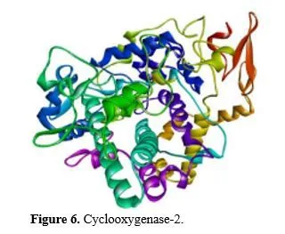 In Silico Analysis and Molecular Docking Studies of COX-2 Inhibitors for Anti-Inflammatory Activity 7 figures
