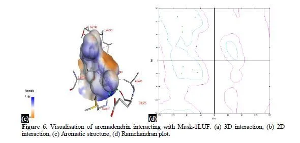 Exploring Potential Phytochemicals for Myasthenia Gravis Treatment: A Molecular Docking and ADME Analysis Approach 8 figures