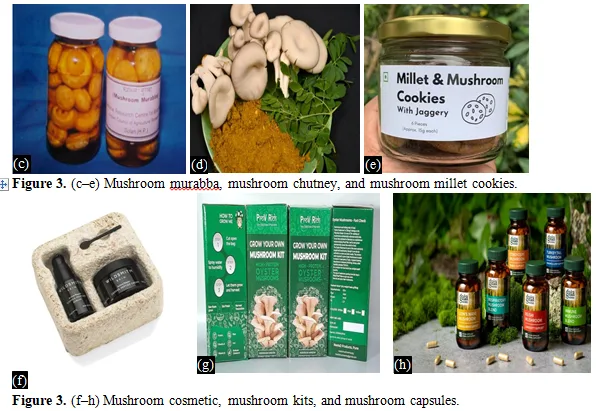 An illustration of review on Morphology and Medicinal aspects of Mushroom Cultivated worldwide 5 figures