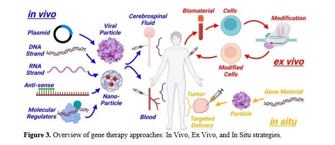 Gene Therapy in Modern Medicine: Promises and Challenge in Treating Genetic Diseases 4 figures