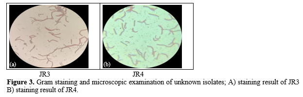 Screening and Isolation of Bacterial Isolates for Polyhydroxyalkanoates Production from Oil-Contaminated sites 4 figures