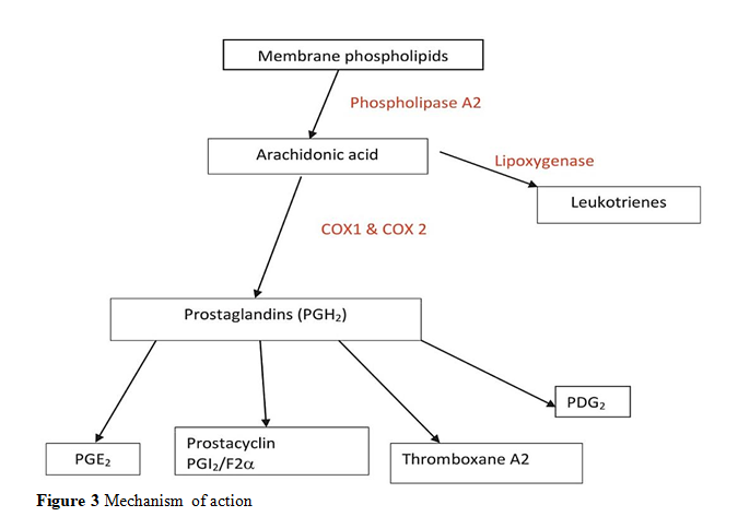 Strategies in the Delivery of Nonsteroidal Antiinflammatory Drugs 4 figures