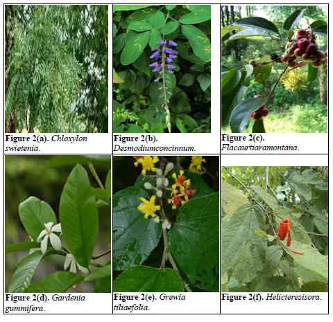 Review Paper of the Rich Floral and Faunal Diversity in Chhattisgarh, India 3 figures