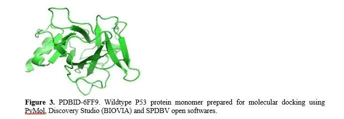 Molecular Docking Studies of Wildtype P53 with Damnacanthal and Scopoletin- Phytochemicals Derived from Morinda Citrifolia 4 figures