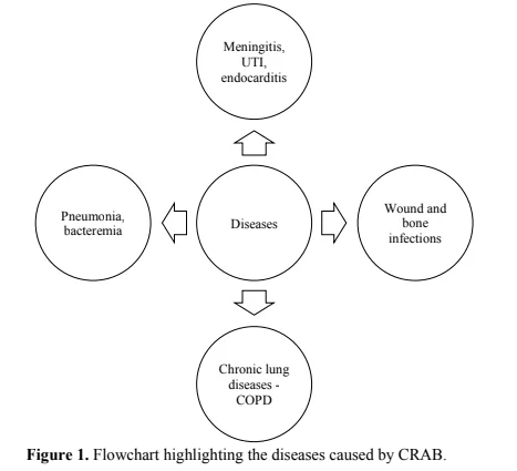 Impact of Therapeutics on Carbapenem-Resistant <em>Acinetobacter baumannii</em> 2 figures