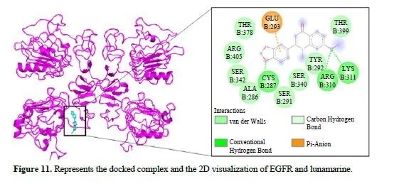 Integrating Network Pharmacology and Molecular Docking to Investigate Boerhavia diffusa for Pancreatic Cancer Treatment 14 figures