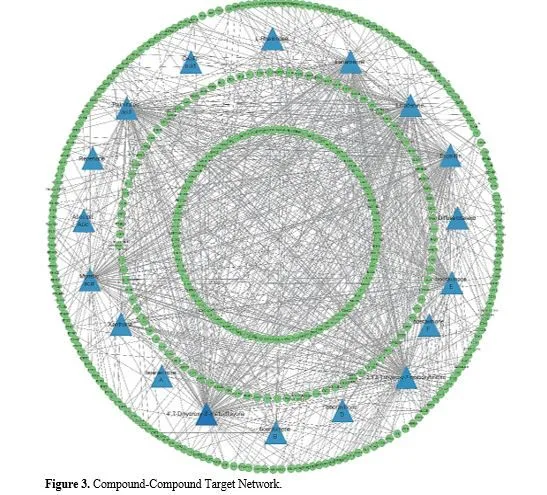 Integrating Network Pharmacology and Molecular Docking to Investigate Boerhavia diffusa for Pancreatic Cancer Treatment 6 figures