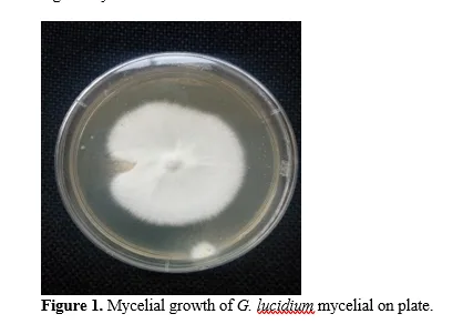 Comparative Study on the Growth and Yield of Ganoderma lucidium Mushroom Cultivated on African Peach (Nauclea diderrichii) and Bush Mango (Endospermum medullosum) Sawdust as Substrates 2 figures