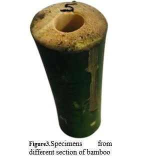 Analysis of Bamboo Strength for Structural Material 4 figures