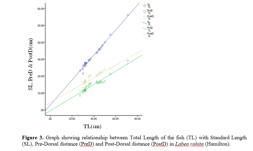 Studies On The Length-Weight Relationship And Morphometric Characteristics of Rohu, Labeo Rohita (Hamilton) From Pond In Radhamohanpur, Jirania, Tripura, India 4 figures