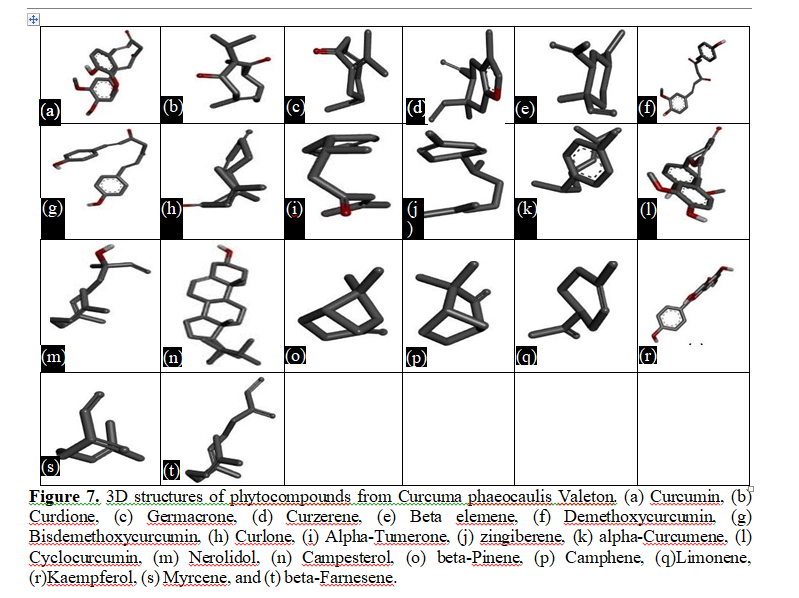 Valeton Phytoconstituents from Curcuma Phaeocaulis as Prion Protein Mutant V210I Inhibitors: A Computational Docking and Virtual Screening Study 8 figures