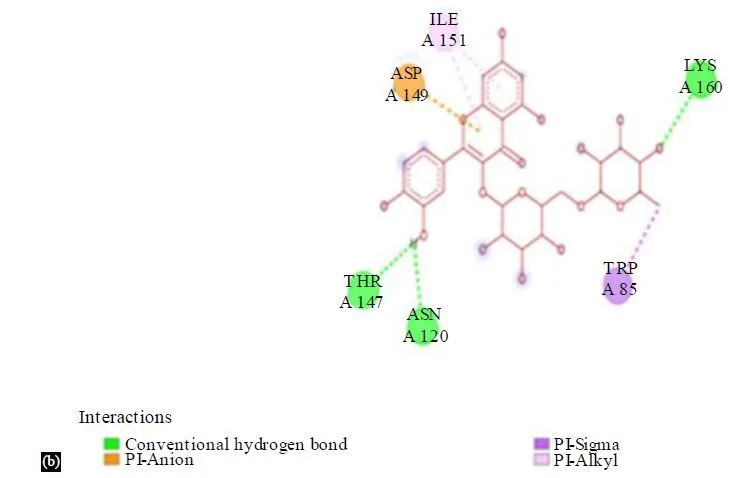 Integrating Network Pharmacology and Molecular Docking to Assess Rutin’s Pharmacological Properties 8 figures