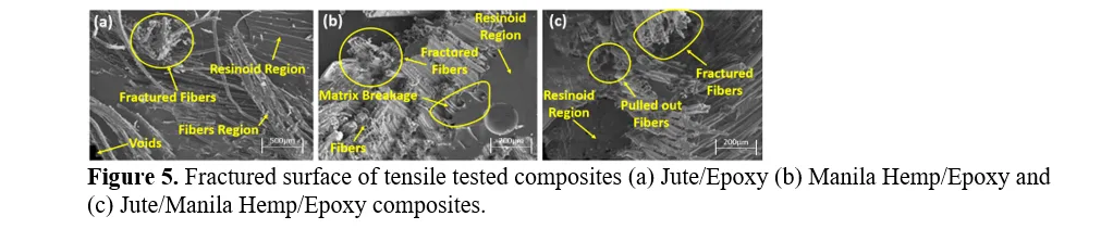 Mechanical and Morphological Analysis of Jute/Manila Hemp Hybrid Composites for Enhanced Structural Performance 6 figures