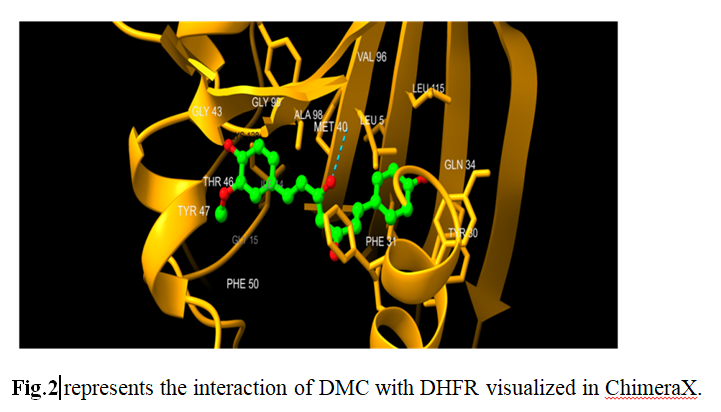In Silico Assessment of Demethoxycurcumin: Molecular Docking and Computational Insights into its various therapeutic Potential 3 figures
