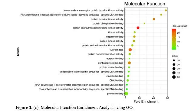 Integrating Network Pharmacology and Molecular Docking to Investigate Boerhavia diffusa for Pancreatic Cancer Treatment 4 figures