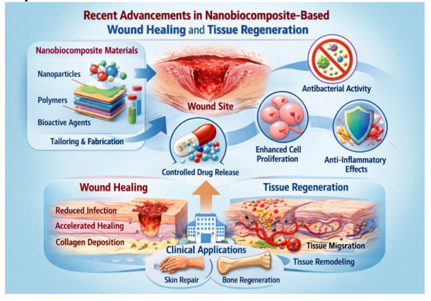 Recent Advancements in Nanobiocomposite-Based Wound Healing and Tissue Regeneration 2 figures