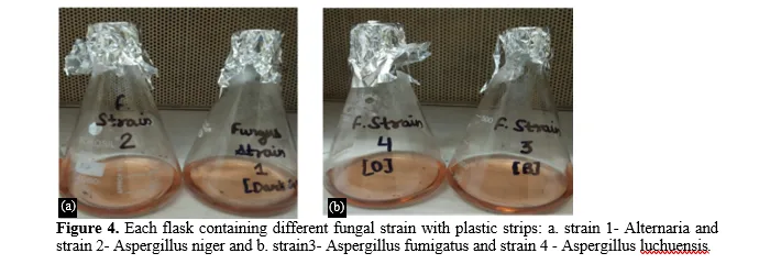 Biodegradation of Plastic Waste Using Various Fungal Isolates from Plastic-Polluted Sites in Meerut: Analysis of Polymers and Composites 6 figures