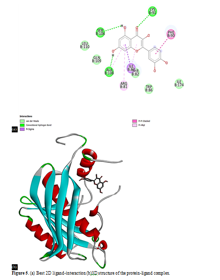 In Situ Investigation of Hemidesmus indicus Phytocompound Extracts as a Therapeutic Target for Acute Myeloid Leukemia 6 figures