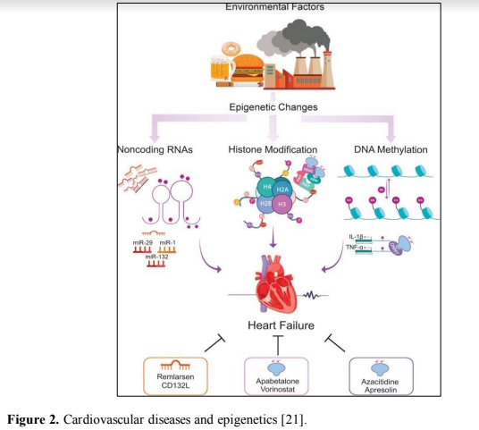 Multifactorial Diseases Becoming the Epigenetic Factor for the Genz 3 figures