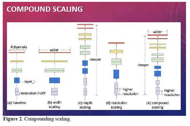 Automatic Detection of Misplaced Tubes and Catheters Using EfficientNet B7 3 figures