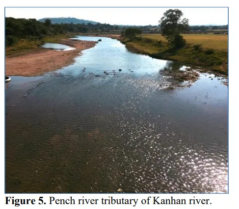 Impact of Fly Ash Pollution on Quality of Agricultural Soils Around Thermal Power Station 6 figures