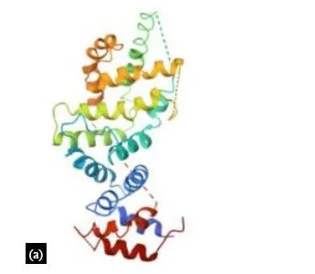 Precision Medicine for Neurofibromatosis Type 1: Progress and Prospects in Drug Discovery 6 figures