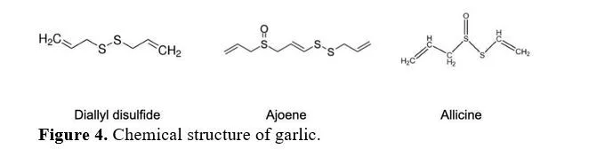 A Review Article on Spice up the Solution of Inflammation Through Phytomedicines 5 figures