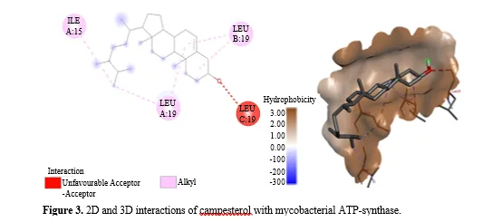 Molecular Docking Studies for the Identification of Mycobacterial Adenosine Triphosphate (ATP) Synthase Inhibitors Using Active Phytocompounds from Plants Curcuma longa, Curcuma zedoaria and Galipea officinalis 4 figures