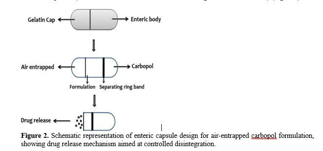 Formulation Development and Evaluation Technique for Immediate and Modified Release Capsule 3 figures