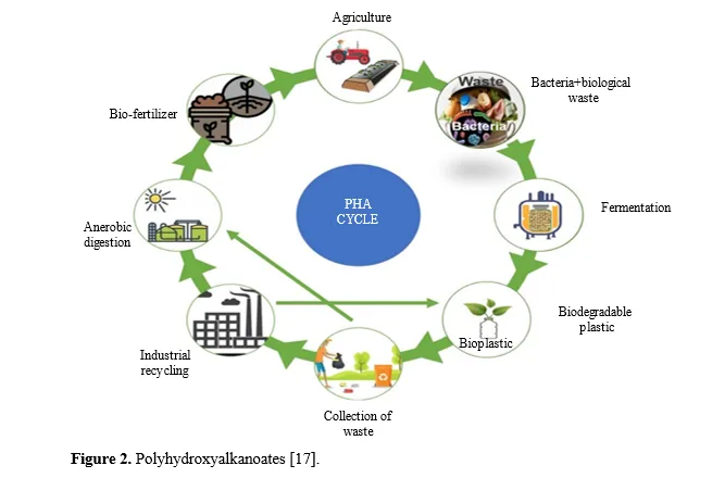 Eco-Friendly Innovations: A Review of 3D Printing with Biodegradable Filaments. 3 figures