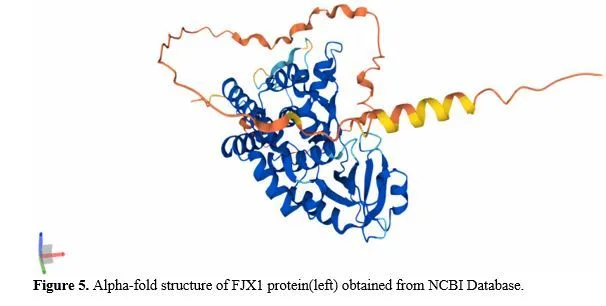 Gene Annotation of Cancer Vaccine for Homo sapiens 6 figures