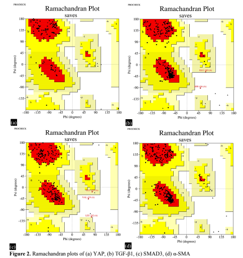 Molecular Docking and Interaction of Anthocyanin Derivatives in Regulating Hippo-taz Pathway for Renal Injuries 3 figures