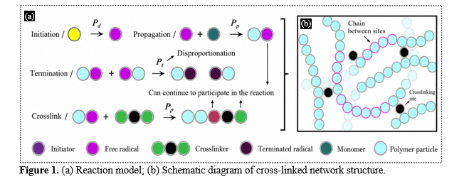 Dissipative Particle Dynamics Simulation Study on the Evolution of Photoinitiated Free Radical Polymerization Crosslinked Networks 2 figures