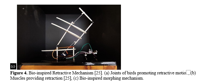 Aerodynamic Analysis of Bio-inspired Wing with Adaptive Aspect Ratio 7 figures