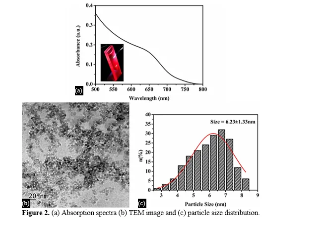 Red emissive MSA capped CdTe quantum dots for cell imaging 3 figures