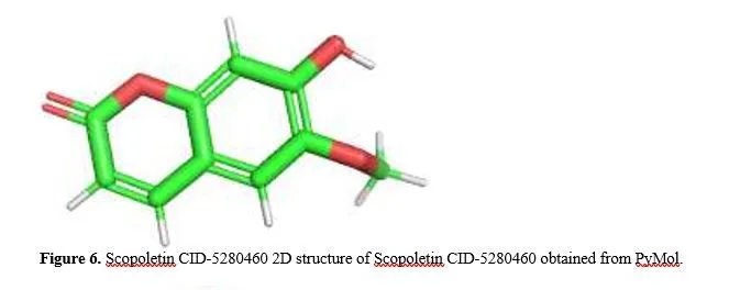 Molecular Docking Studies of Wildtype P53 with Damnacanthal and Scopoletin- Phytochemicals Derived from Morinda Citrifolia 7 figures