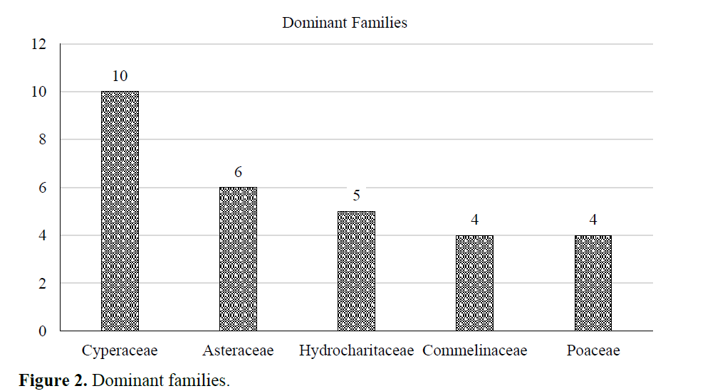 Preliminary Survey & Documentation of Wetland Macrophyte Diversity from Chargaon Lake in Warora Taluka, Dist. Chandrapur Maharashtra, India 3 figures