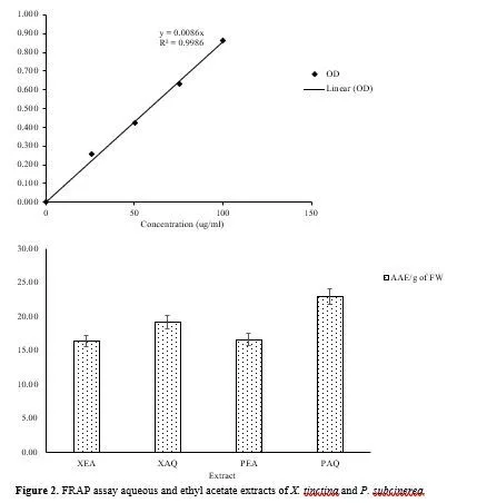 Exploring the Bioactive Potential of Himalayan Lichens: Phytochemical and Antimicrobial Profiling of Xanthoparmelia tinctina and Pyxine subcinerea Extracts 3 figures