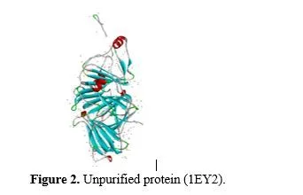 Targeting Homogentisate Dioxygenase Dysfunction in Alkaptonuria: Investigating Curcuma longa’s Therapeutic Potential 3 figures