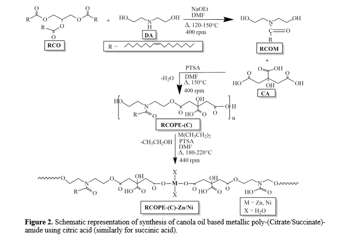 Synthesis, Characterization and Antibacterial Evaluation of Novel Canola Oil-Based Poly-(Citrate/Succinate)-amide Incorporated with Zn (II) and Ni (II) Metal Ions 3 figures