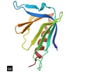 Precision Medicine for Neurofibromatosis Type 1: Progress and Prospects in Drug Discovery 3 figures