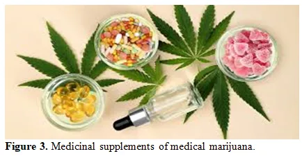 Cannabinoids as Nutritional Supplements: Exploring The Potential Health Benefits and Regulatory Landscape 4 figures