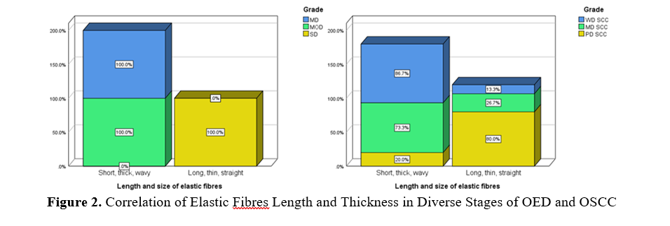 Examining Connective Tissue Changes Across Various Grades of Oral Epithelial Dysplasia and Oral Squamous Cell Carcinoma: A Histochemical Polymeric Investigation 3 figures