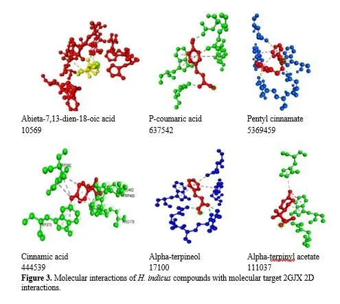 Multi-Target Molecular Docking of Anantmul (Hemidesmus indicus) Compounds for Tay-Sachs Disease Treatment 4 figures