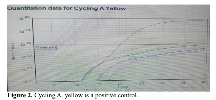 Comparison of a Human Papillomavirus Test with the Hybrid Capture 2 and a Real-Time PCR Method for 18 High-Risk and Low-Risk Human Papillomavirus Infections in Women 3 figures