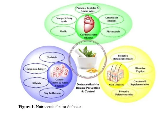 The Therapeutic Potential of Nutraceutical in Diabetes Management: A Comprehensive Review 2 figures