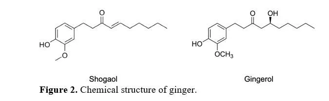 A Review Article on Spice up the Solution of Inflammation Through Phytomedicines 3 figures