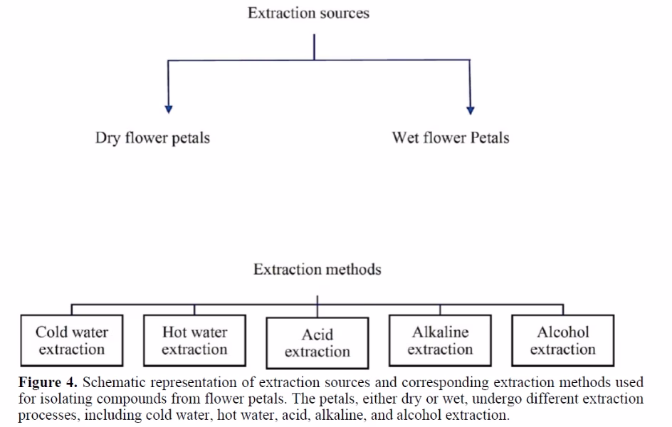 Extraction, Stability, and Application of Natural Dye from Spathodea campanulata Flower: A Study on Shelf Life, Yield, and Fabric Dyeing Potential 5 figures