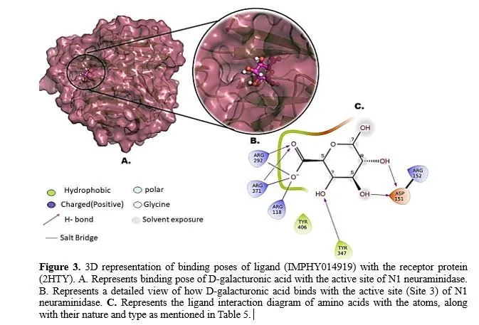 In-Silico Studies of Phytochemicals from Allium sativum with H5N1 Protein in Avian Influenza 4 figures